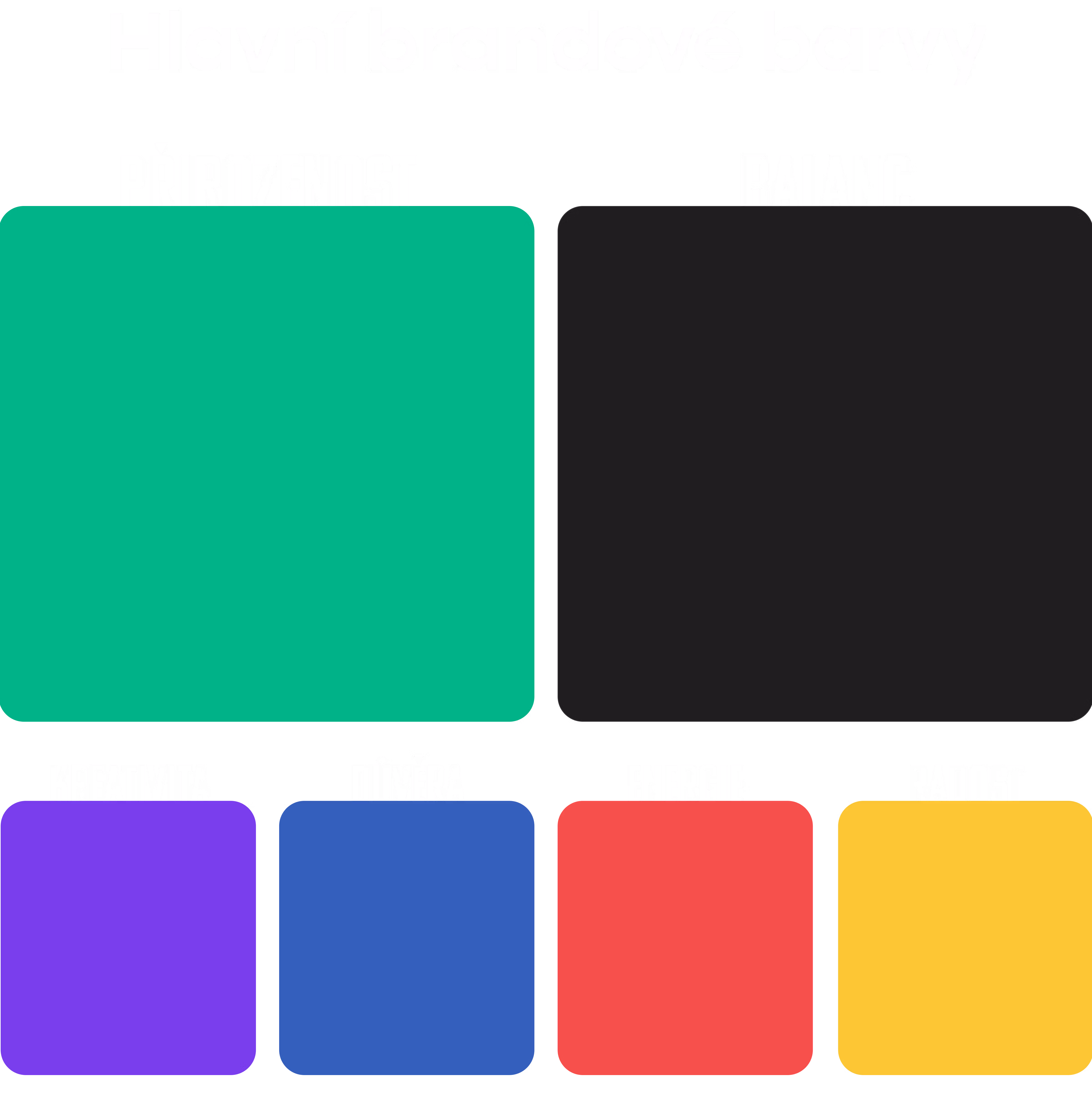 pkv branding barvy