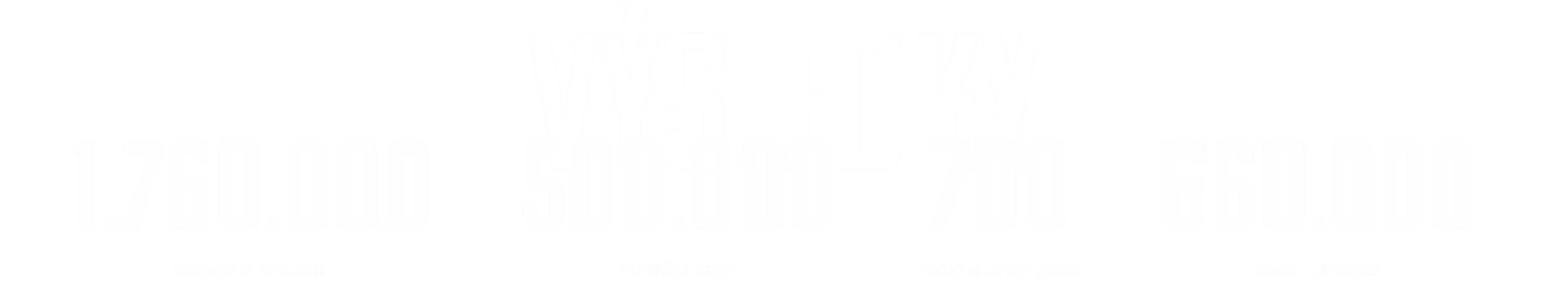 výsledky kampaně_panoramico