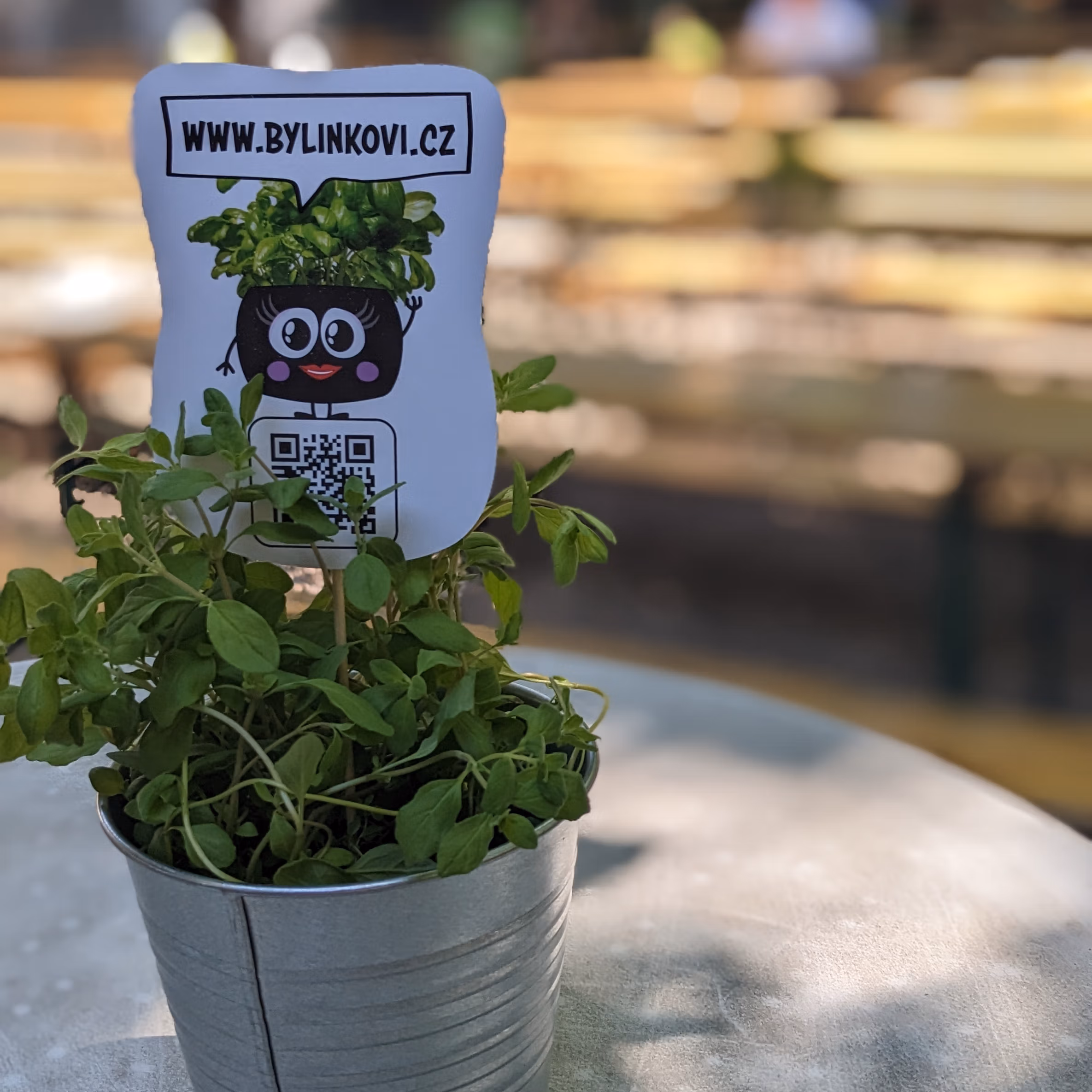 bylinky na stolku v&nbsp;riegrových. sadech