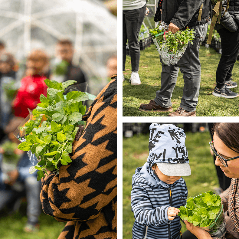 lidé nakupující bylinky