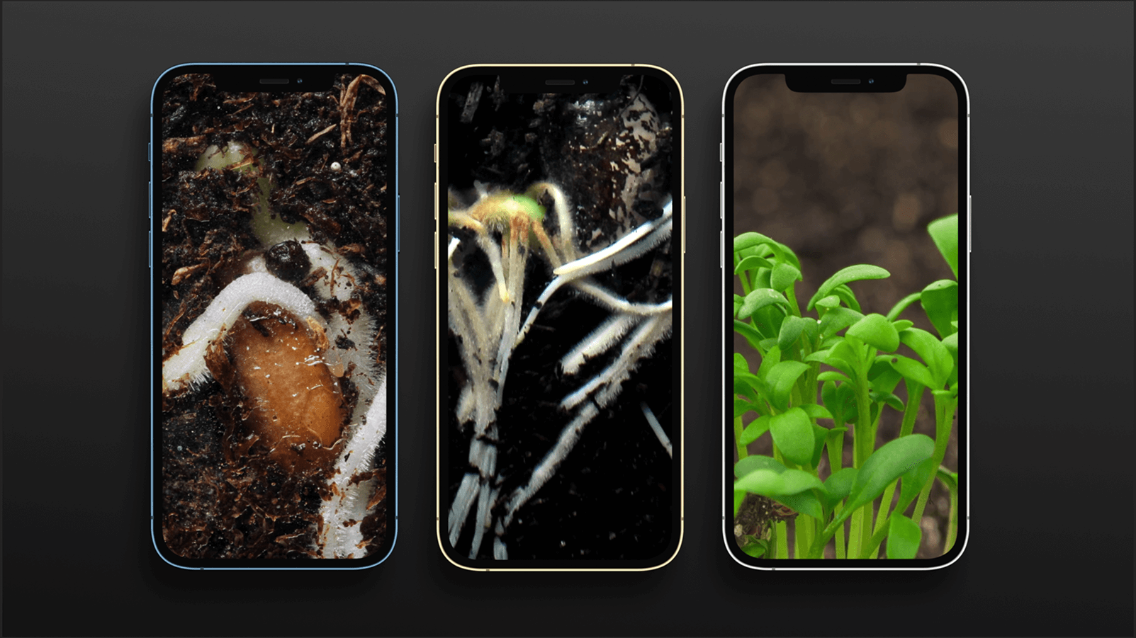 screenshot 2024 07 30 at 16.44.06 1