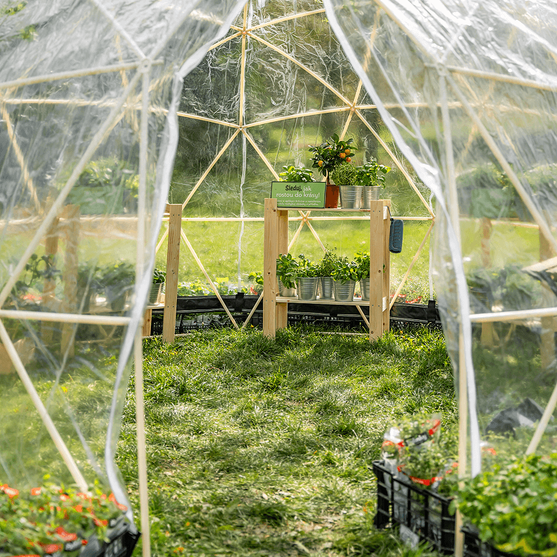 skleník uvnitř