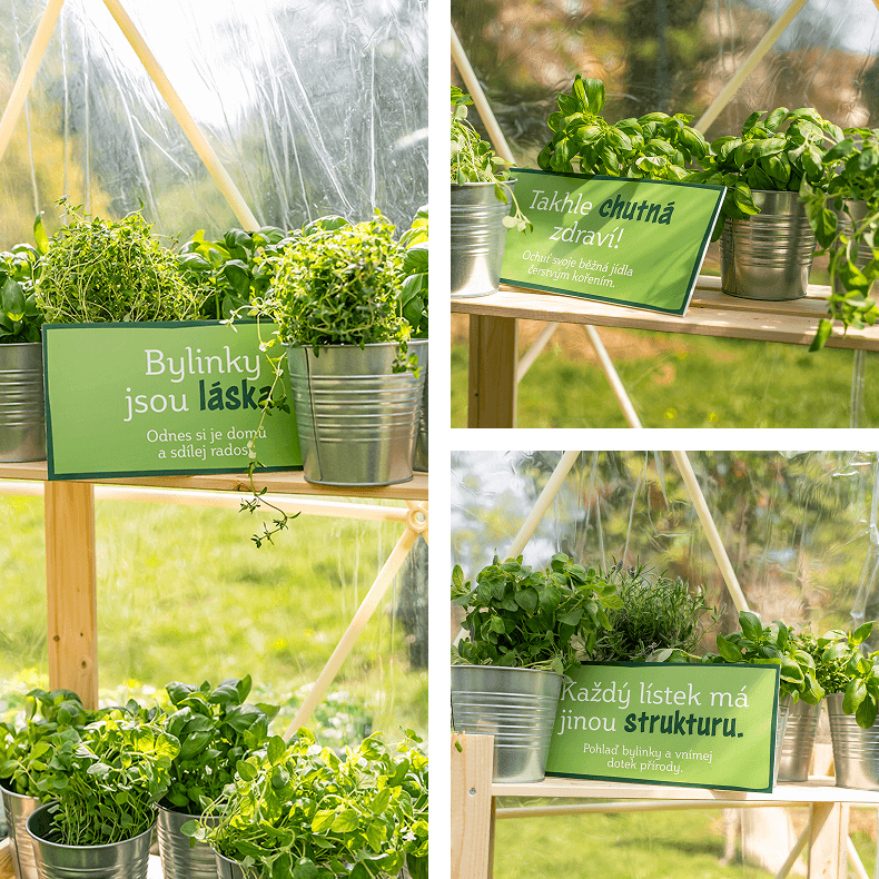 koláž s&nbsp;cedulemi