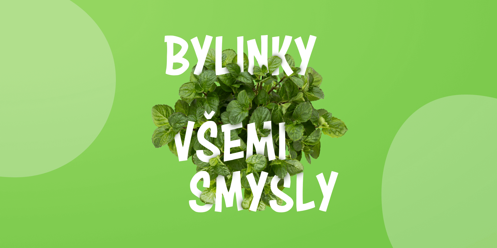 vizuál bylinky všemi smysly