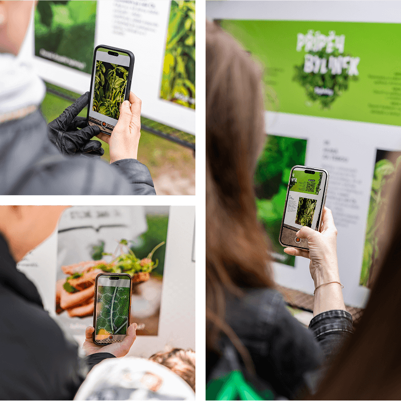 koláž fotografií z&nbsp;kampaně