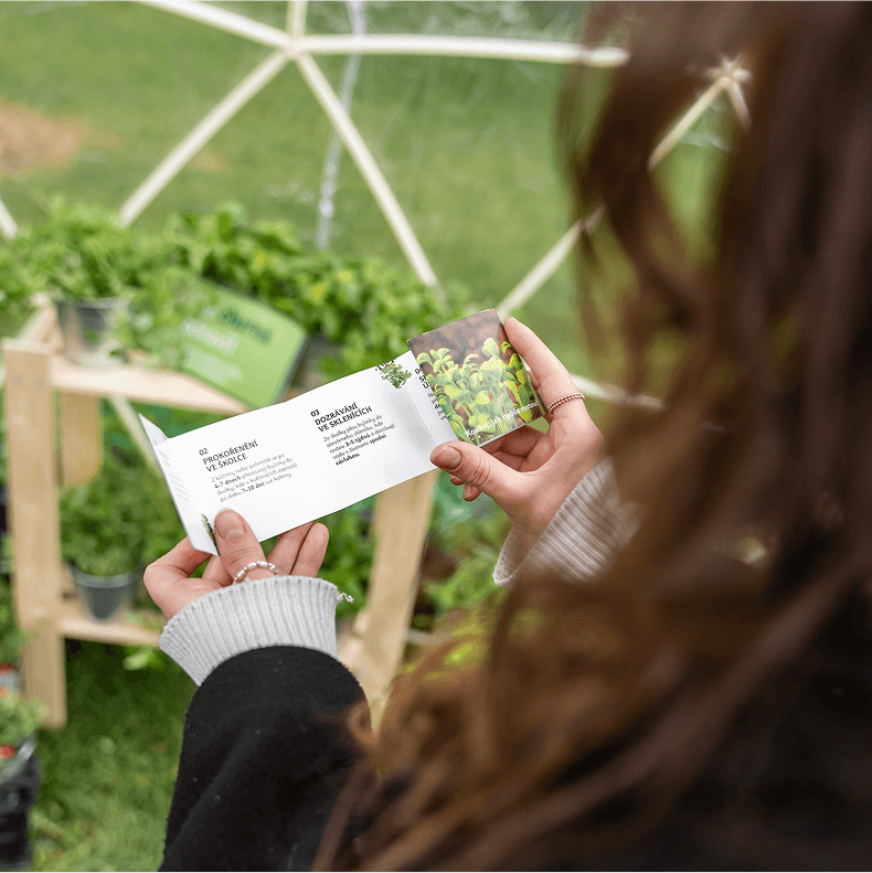 fotografie ženy, která si prohlíží otevřený leták